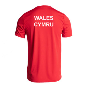 Castore Short Sleeve Training T-Shirt Red-White