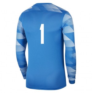 Nike Park IV Goalkeeper Dri-FIT Jersey