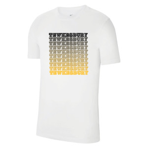 Nike Team Club 20 Cotton T-Shirt (M)