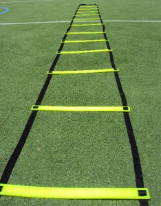 Pro Flat Ladders (4 Meters)