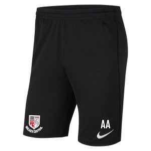 Nike Park 20 Pocketed Shorts (M)