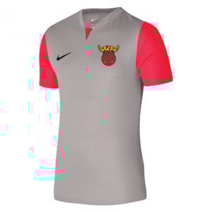 Nike Dri-FIT Trophy 5 Jersey