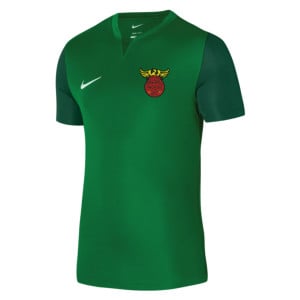 Nike Dri-FIT Trophy 5 Jersey