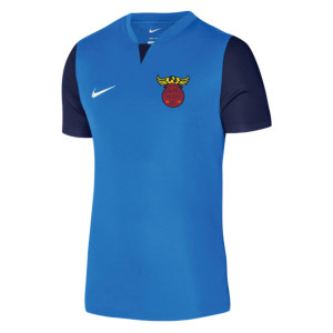 Nike Dri-FIT Trophy 5 Jersey