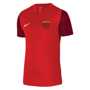 Nike Dri-FIT Trophy 5 Jersey