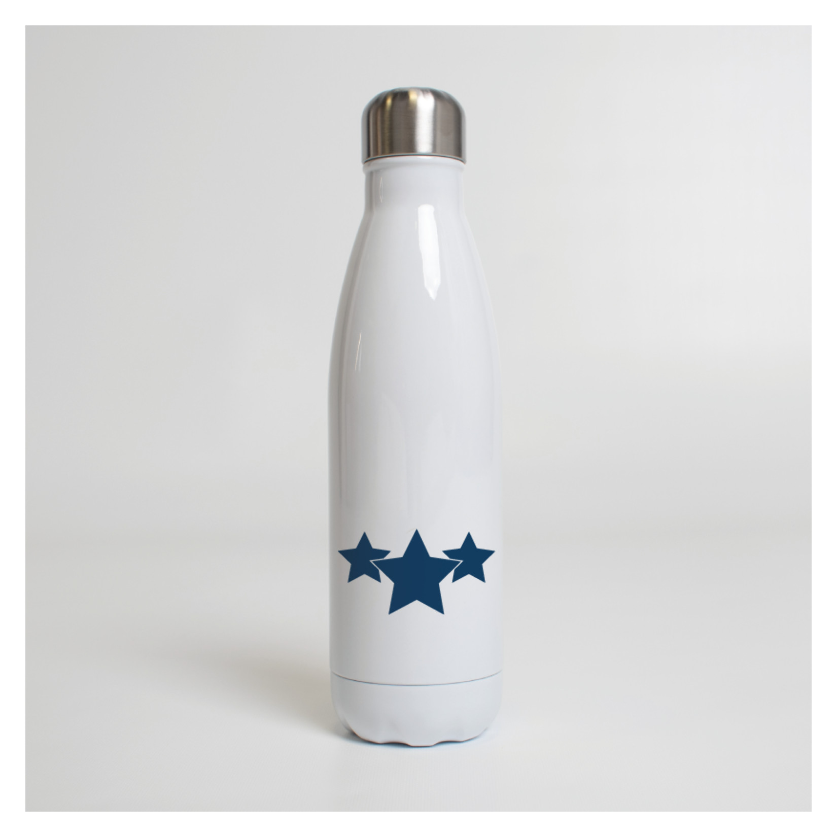 Premium Steel Water Bottle