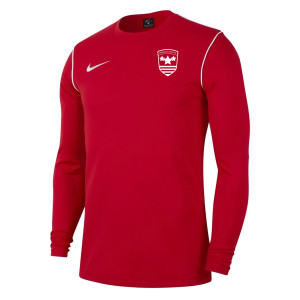 Nike Dri-FIT Park 20 Crew Top