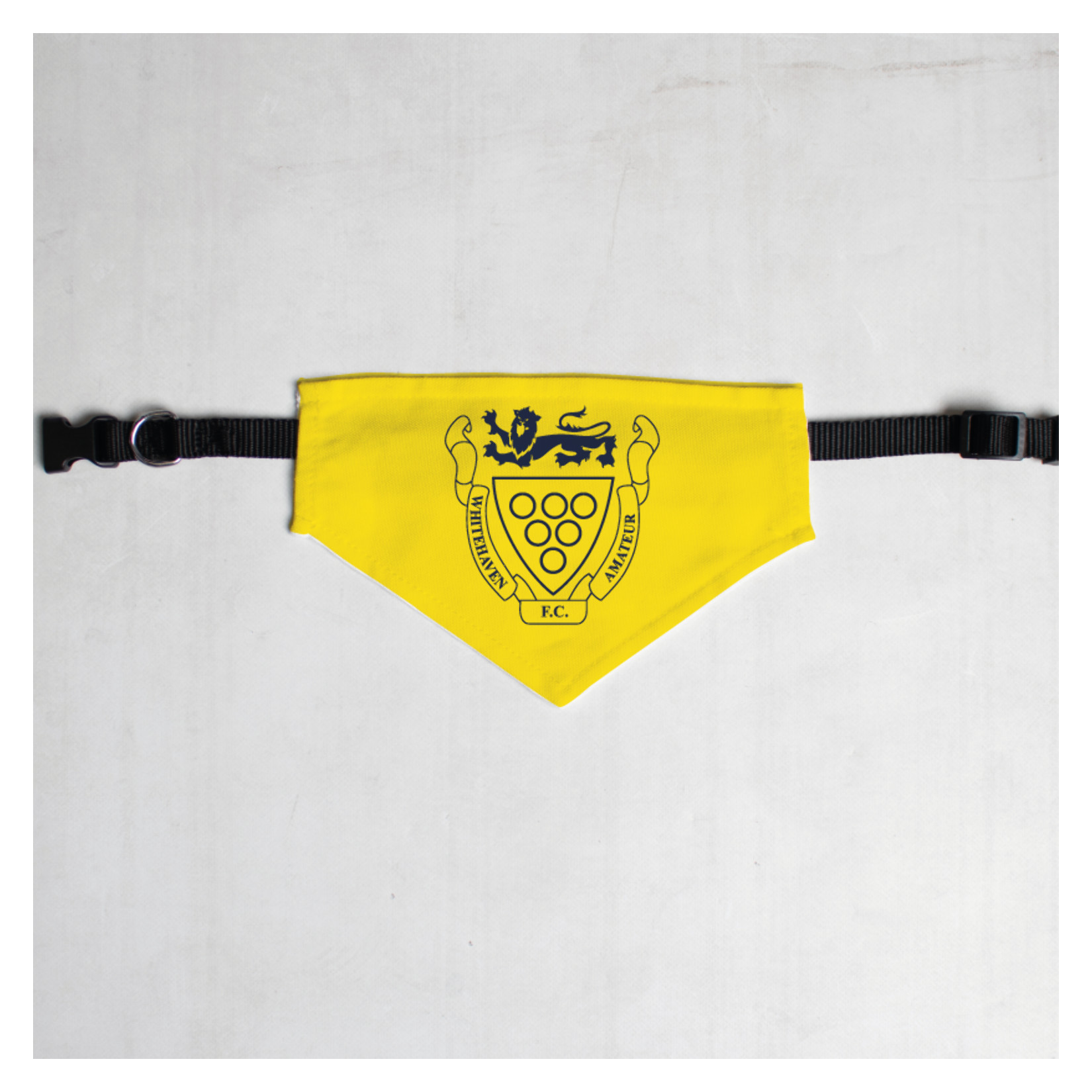 Pet Bandana with Black Collar