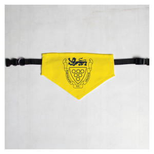 Pet Bandana with Black Collar