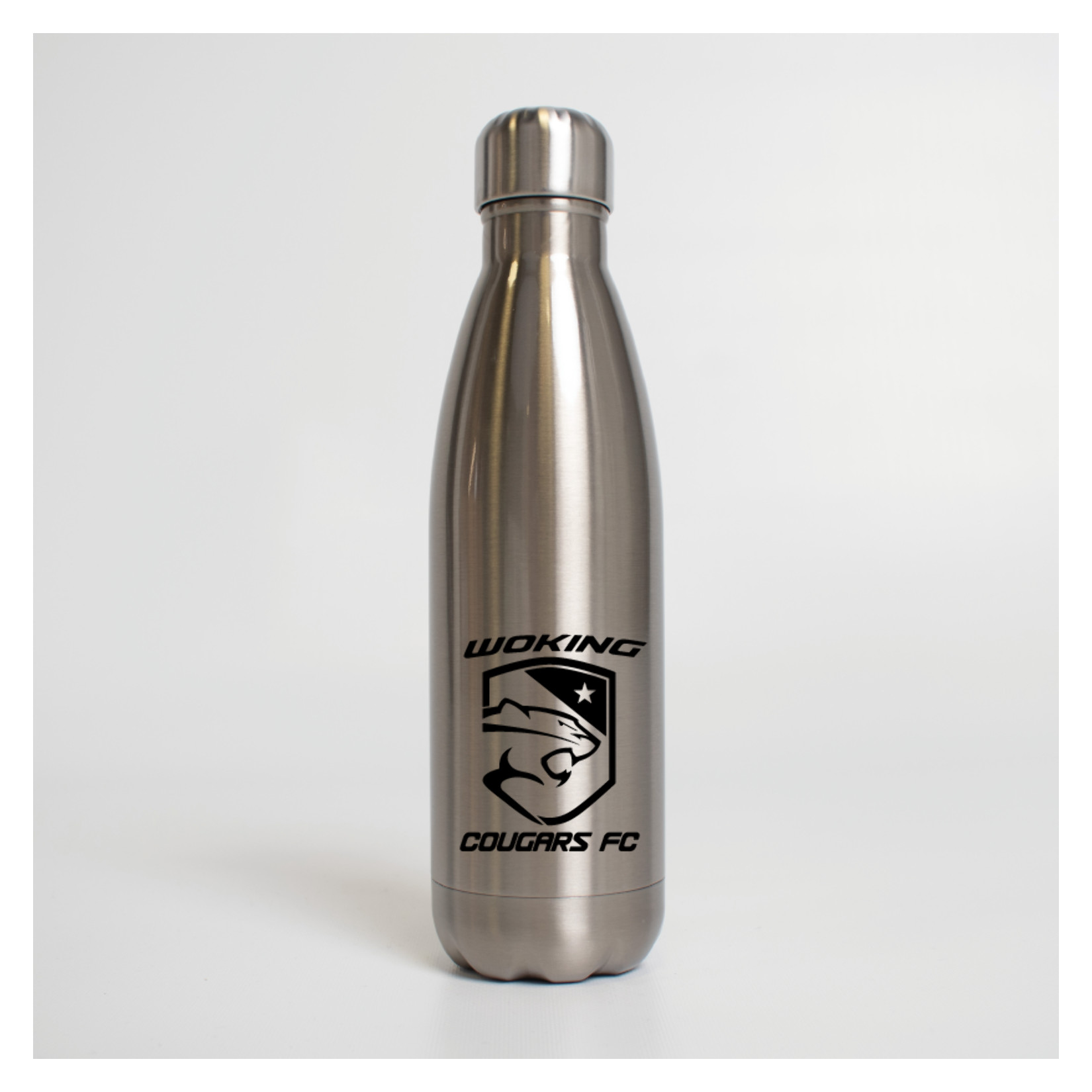 Premium Steel Water Bottle