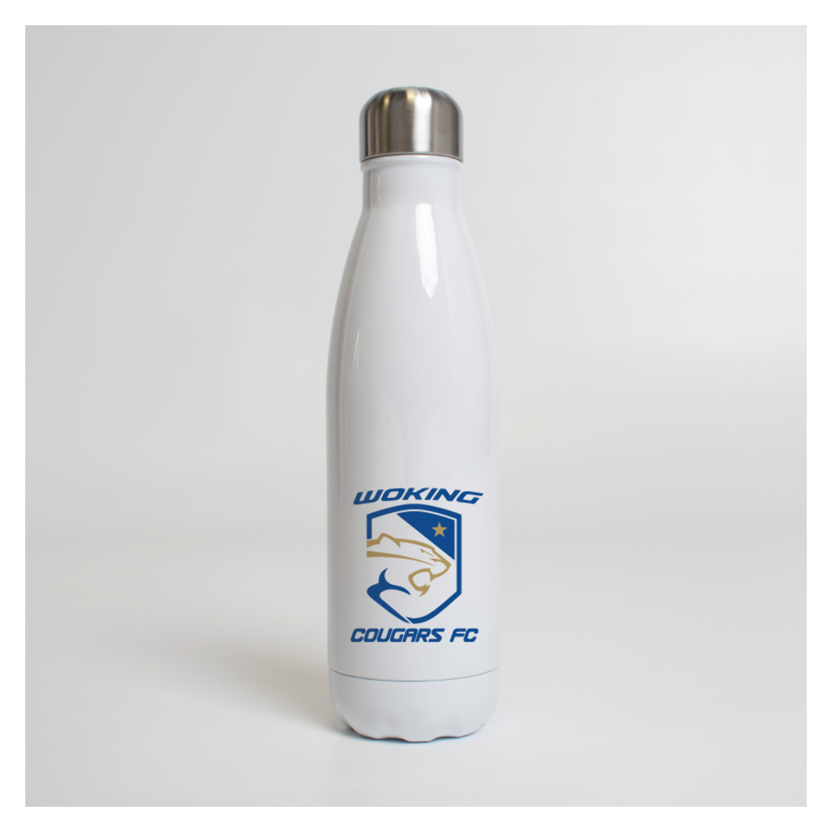 Premium Steel Water Bottle