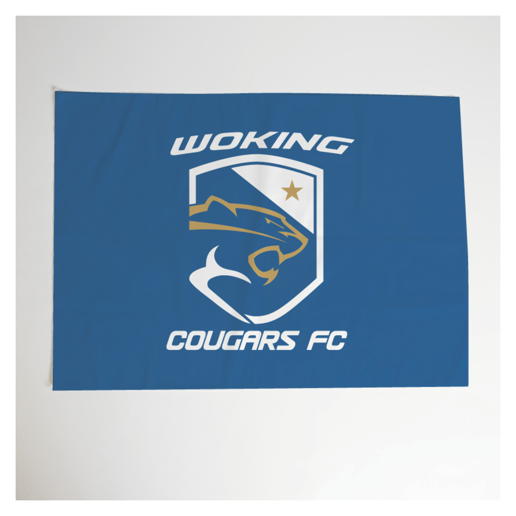Sublimated Flag