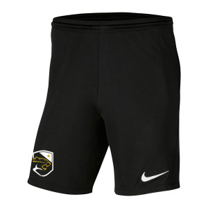 Nike Park III Shorts