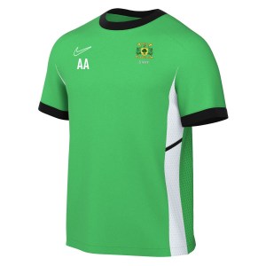Nike Academy 25 Short-Sleeve Training Top - Green Spark/Lucky Green/White