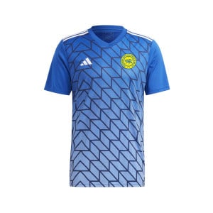 adidas Team Icon 23 Jersey