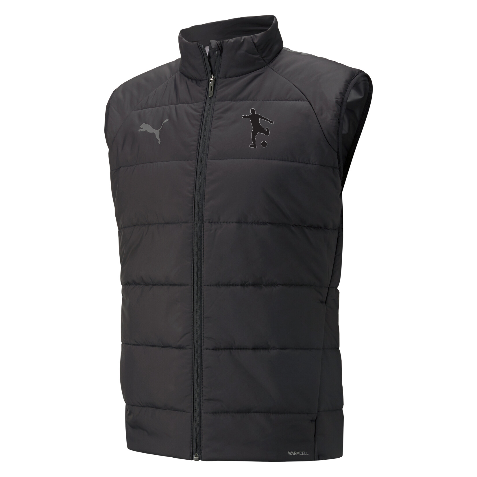 Puma teamLIGA Vest - Black