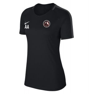 Nike Womens Academy 18 Short Sleeve Top (W)