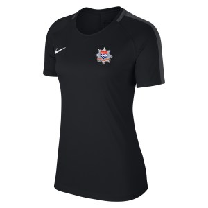 Nike Womens Academy 18 Short Sleeve Top (W)