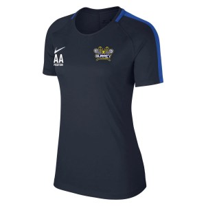 Nike Womens Academy 18 Short Sleeve Top (w)