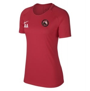 Nike Womens Academy 18 Short Sleeve Top (W)