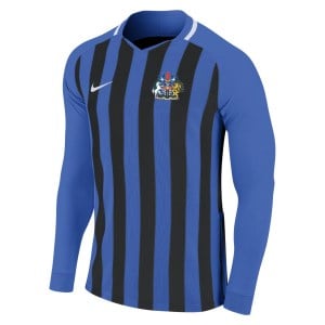 Nike Striped Division III Long Sleeve Football Shirt