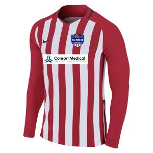 Nike Striped Division III Long Sleeve Football Shirt