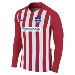 Nike Striped Division III Long Sleeve Football Shirt