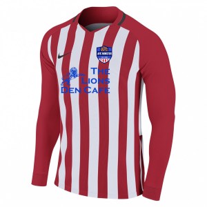 Nike Striped Division III Long Sleeve Football Shirt