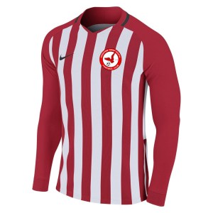 Nike Striped Division III Long Sleeve Football Shirt