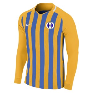 Nike Striped Division III Long Sleeve Football Shirt