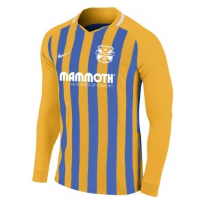 Nike Striped Division III Long Sleeve Football Shirt