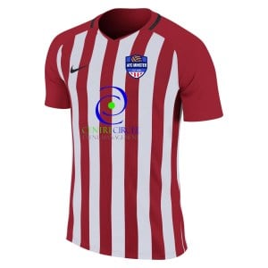 Nike Striped Division III Short Sleeve Shirt