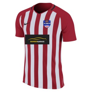 Nike Striped Division III Short Sleeve Shirt