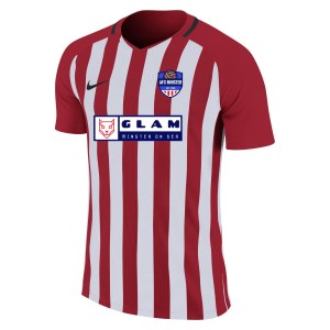 Nike Striped Division III Short Sleeve Shirt