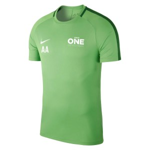 Nike Academy 18 Short Sleeve Top (m) Lt Green Spark-Pine Green-White