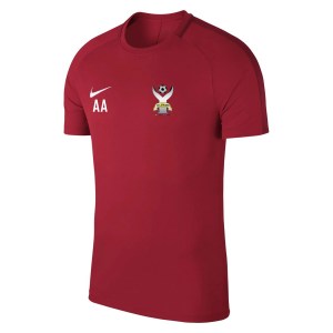 Nike Academy 18 Short Sleeve Top (m) University Red-Gym Red-White