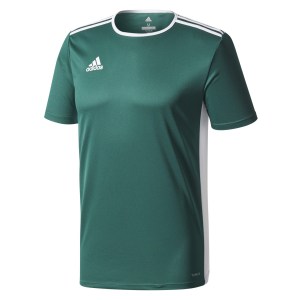 adidas Entrada 18 Short Sleeve Shirt Collegiate Green-White