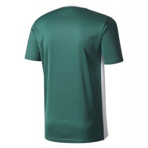 adidas Entrada 18 Short Sleeve Shirt Collegiate Green-White