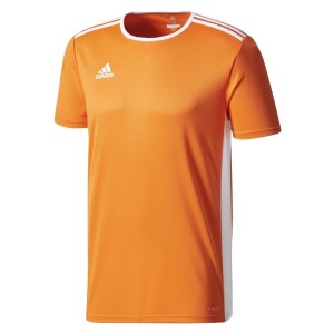 Adidas Entrada 18 Short Sleeve Shirt