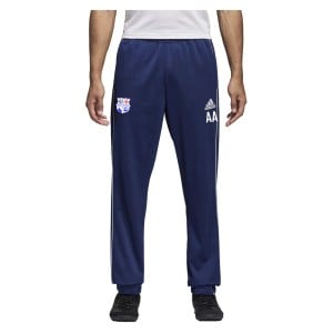 Adidas Core 18 Polyester Pants