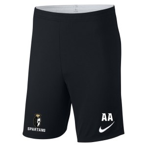 Nike Academy 18 Knit Shorts (m)