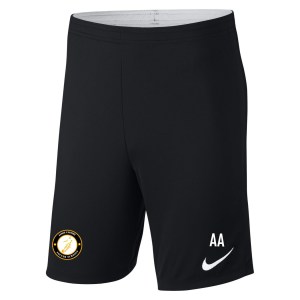 Nike Academy 18 Knit Shorts (m)