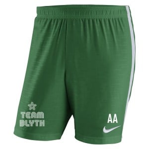 Nike Venom II Woven Shorts