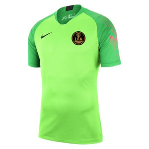 Nike Gardien Short Sleeve Goalkeeper Shirt