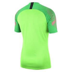 Nike Gardien Short Sleeve Goalkeeper Shirt