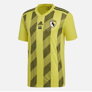 Adidas STRIPED 19 SHORT SLEEVE SHIRT