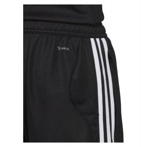 Adidas Tiro 19 Training Pants