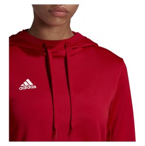 Adidas Womens Team 19 Hoody (w)