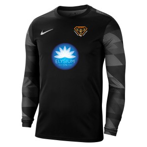 Nike Park IV Goalkeeper Dri-FIT Jersey