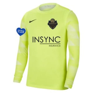 Nike Park IV Goalkeeper Dri-FIT Jersey